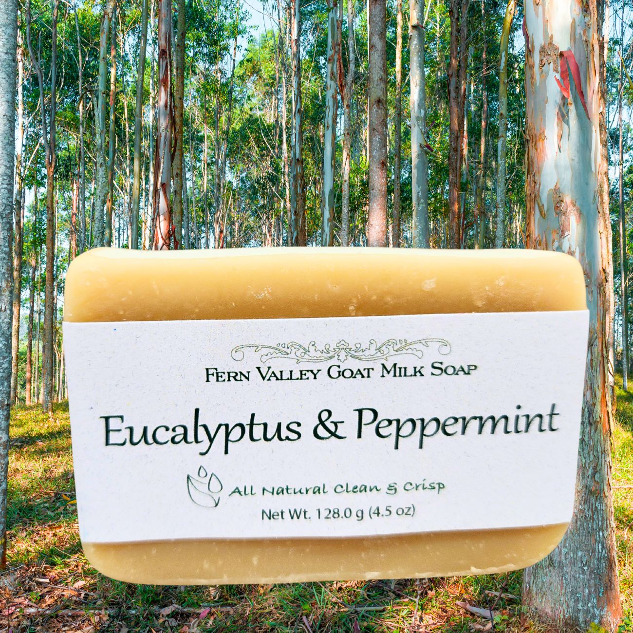 Eucalyptus & Peppermint | All Natural Goat Milk Soap Bar | Energizing