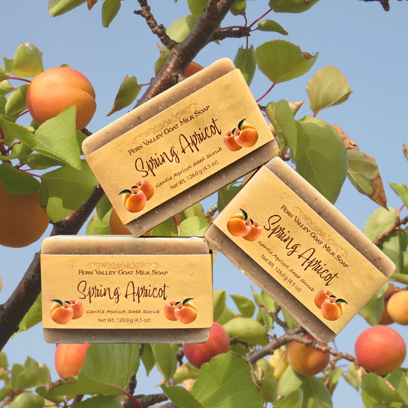 Spring Apricot | Exfoliating Goat Milk Soap Bar | Sweet & Fresh